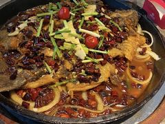 -老板恋上鱼(恒隆广场店)