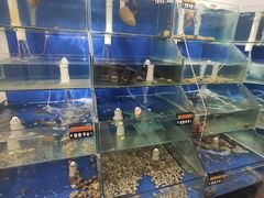 -雅逸居海鲜小厨