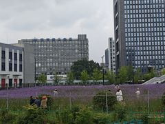 -浙江大学(玉泉校区)