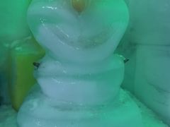 -南湖梦幻岛