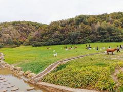 -南泥湾风景区