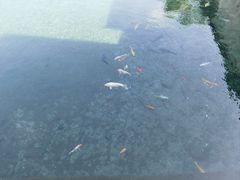 -芙蓉街-王府池子