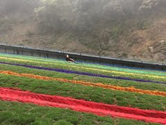 -梦幻奥陶纪景区