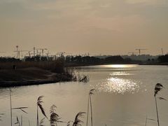 -春花秋色城市公园