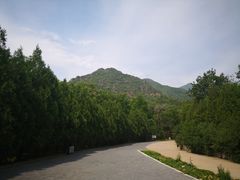 -北京鹫峰国家森林公园