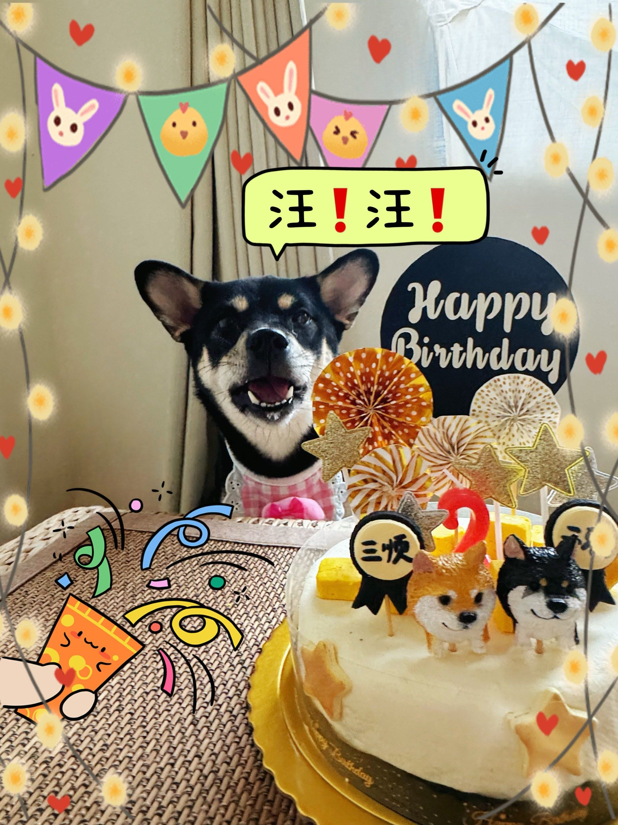 狗狗的快乐生日time