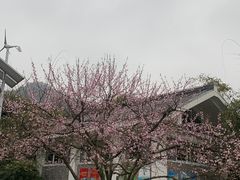 -贵阳市花溪国家城市湿地公园