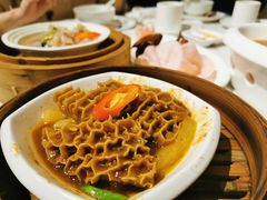 候柱金钱肚-潮福城潮州大酒楼(湖滨北路店)