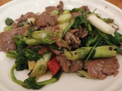 -曾牛肉