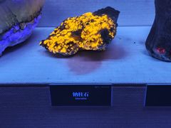 -湖南省地质博物馆