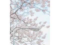 -红星桥(地铁站)