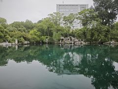 -老西关黄老太牛肉烧饼
