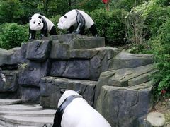 -都江堰中华大熊猫苑