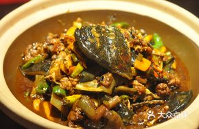 Tea Oil Braised Old Softshell Turtle