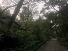 -法云安缦酒店