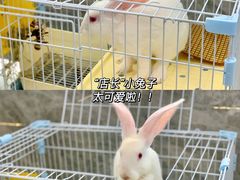 -SHRIMP CLUB万东餐饮钓虾·清吧