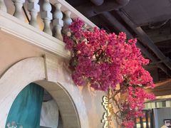 -前海沿·青岛菜(李沧万达店)