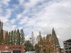 -上汽MG体验中心(徐汇东安路店)