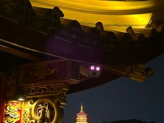 -西湖游船