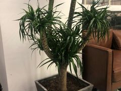 -开间茶馆·围炉煮茶