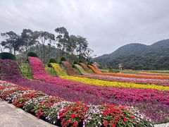 -广州市石门国家森林公园
