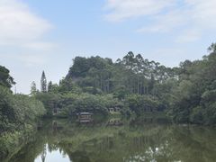 -李小龙乐园(顺德均安店)