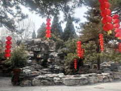 -团结湖公园