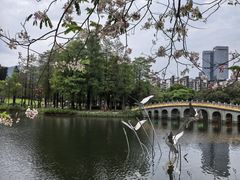 -四海公园(南山区)