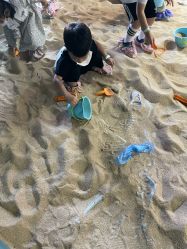 -恐龙探索乐园(磁器口店)