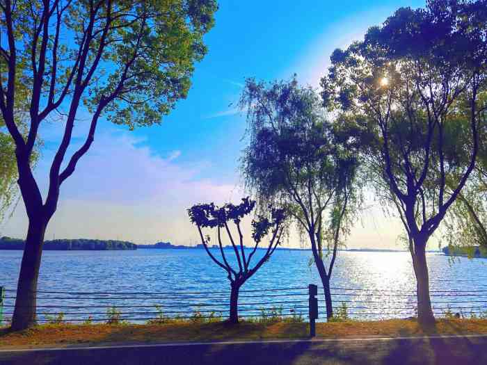 漕湖湿地公园