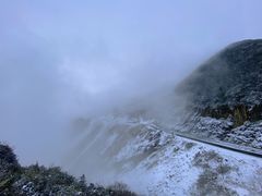 -武陵山森林公园