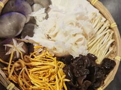 -尚尚仙·酸汤猪手·猪肚鸡火锅(华联万柳购物中心店)