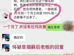 -糯米喵星人总部直营旗舰店·猫舍·幼猫出售
