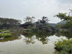 -顺峰山公园