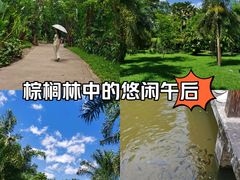-中国科学院西双版纳热带植物园