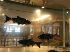 -北大荒淡水鱼馆(秀水广场店)