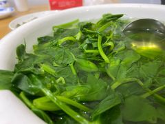 小菜汤-东吴霸王兔(松青路店)