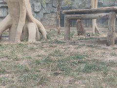 -石家庄市动物园