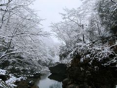 -安吉龙王山风景区