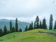 -新疆那拉提国家旅游度假区