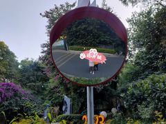 -广州市白云山风景名胜区