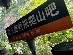 -马岭河峡谷风景区
