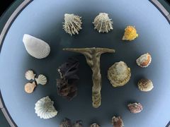 -中国湿地博物馆