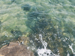 -日照海滨国家森林公园