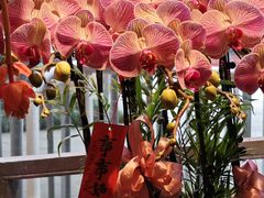 -钱王祠