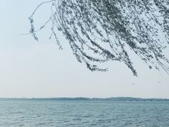 -丁香湖公园