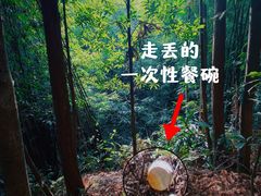 -缙云山景区
