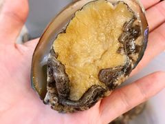 鲍鱼-钱库里海鲜自助(星海广场店)