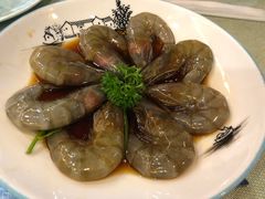 -渔娘渔家丹东海鲜(东直门店)