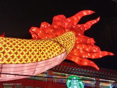 -什刹海